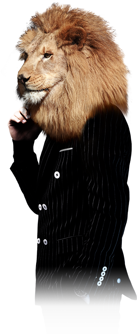 lion